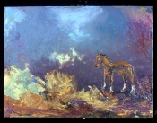 foal1a