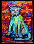 kwazy-kat